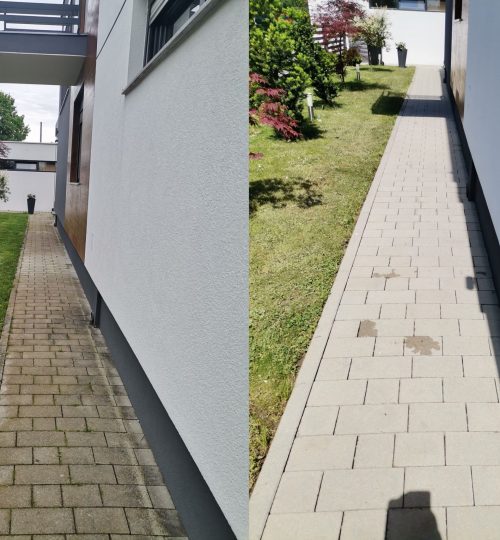 193226359_3549673948591749_4905128196564909109_n